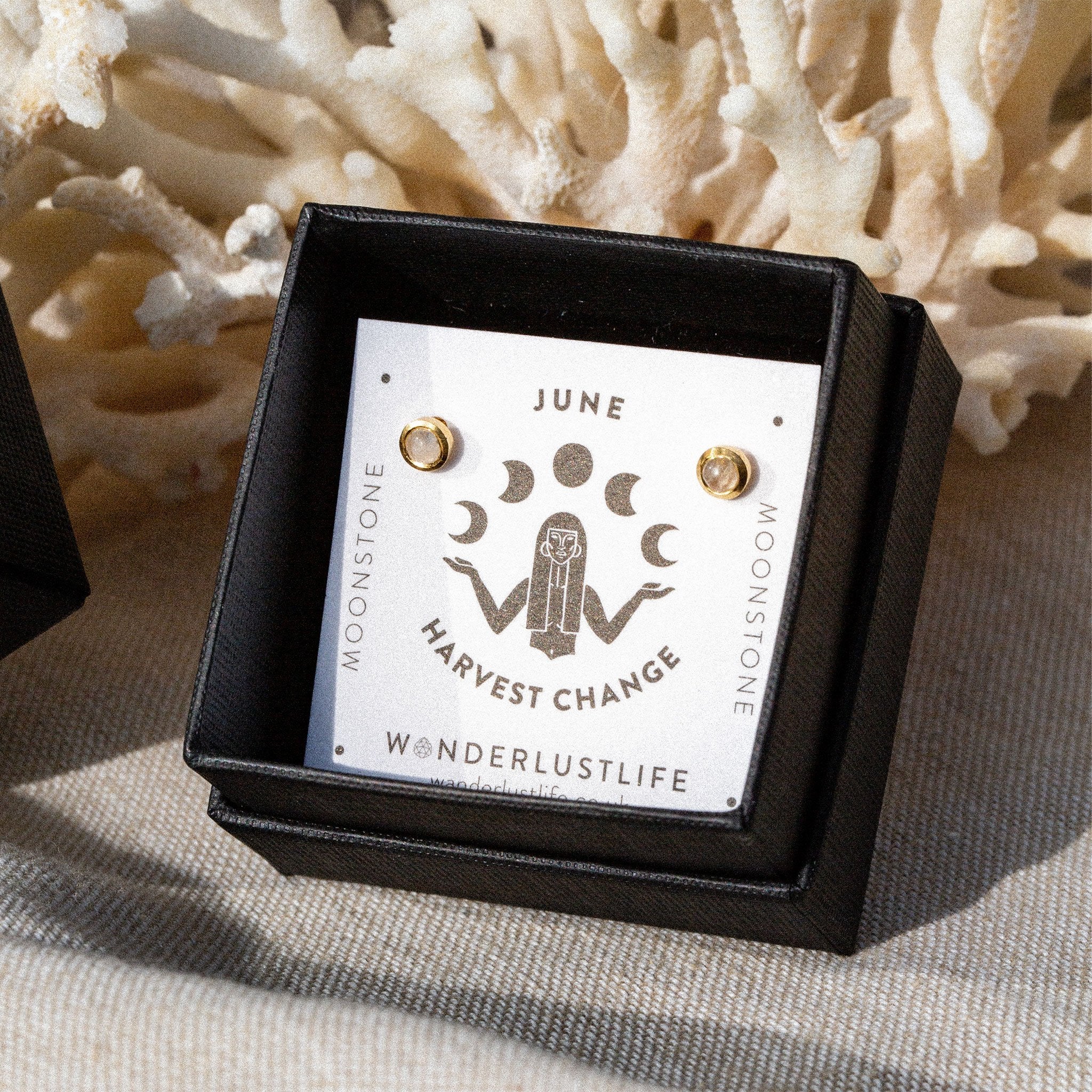 Wanderlust hot sale life earrings