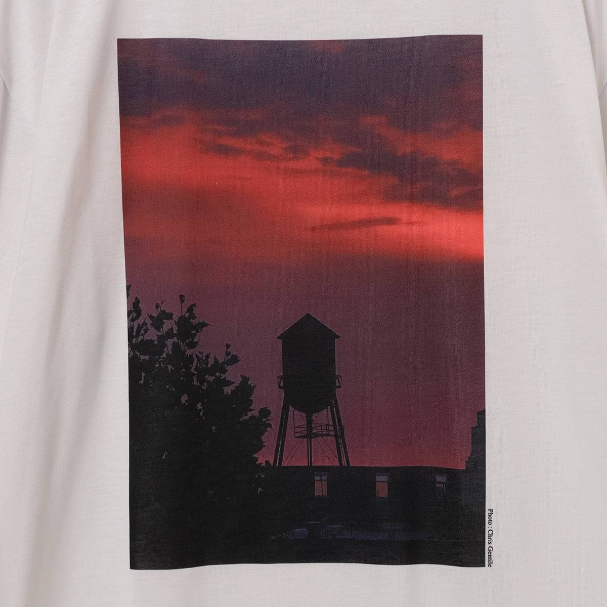 Pilgrim Surf Supply Off White PSSPC Kings Short Sleeve T-Shirt