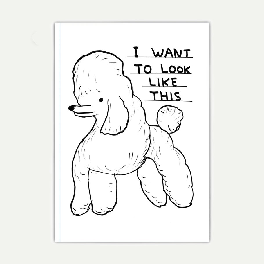 Brainbox Candy x David Shrigley Want to Look Like This A6 Notebook